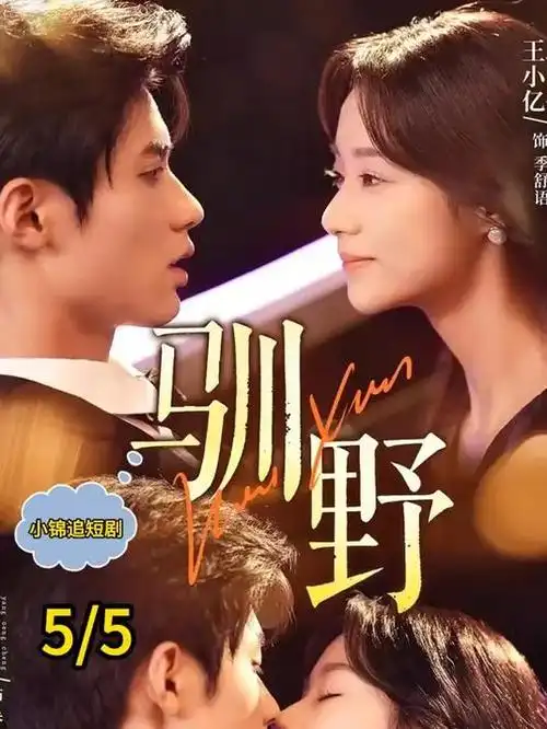 荒原来信热播电视剧全集